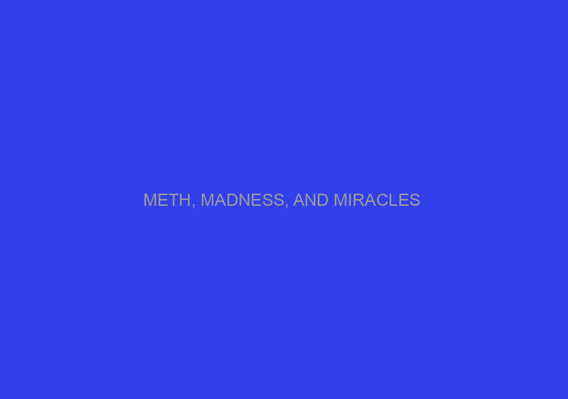 METH, MADNESS, AND MIRACLES / 333 FEARS
